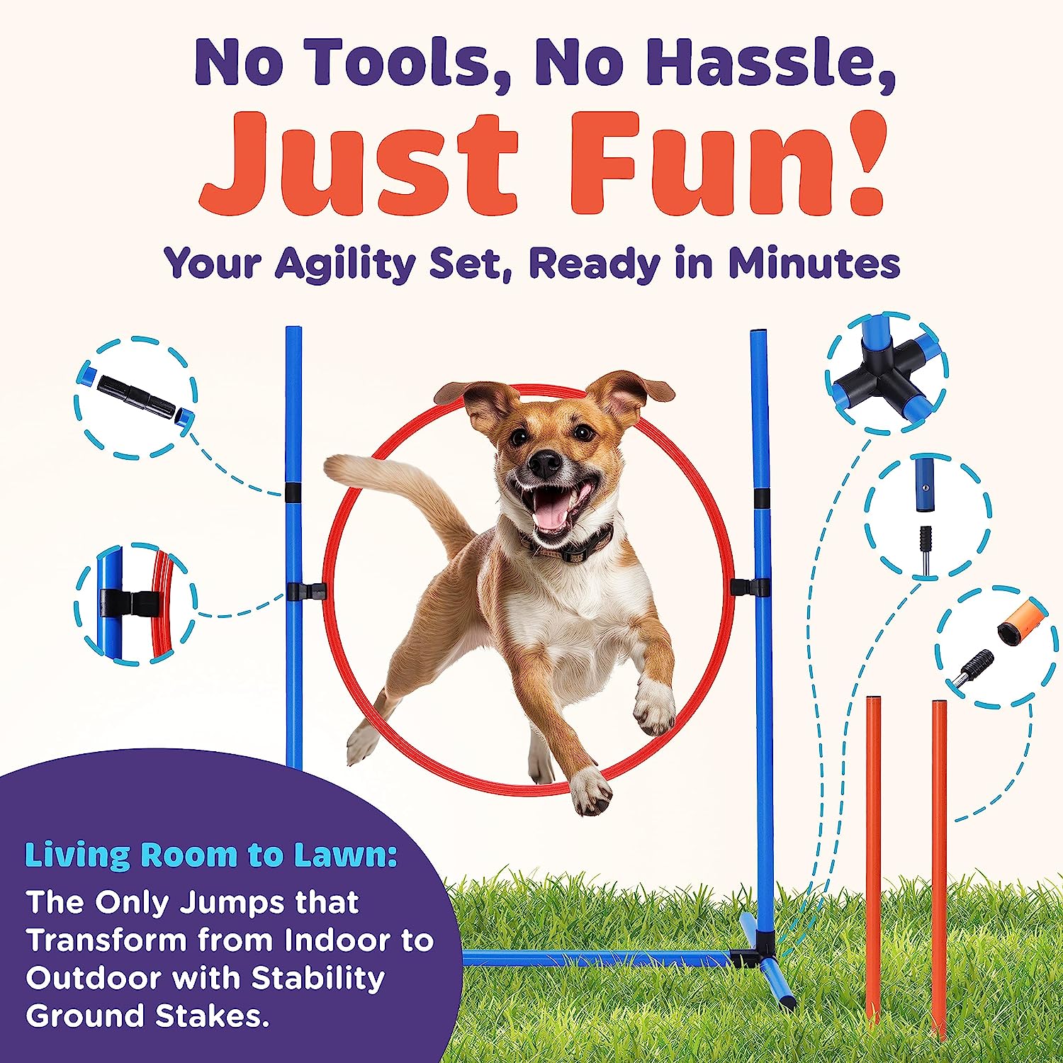 5 Items To Take Your Dog's At-Home Agility Training To The Next