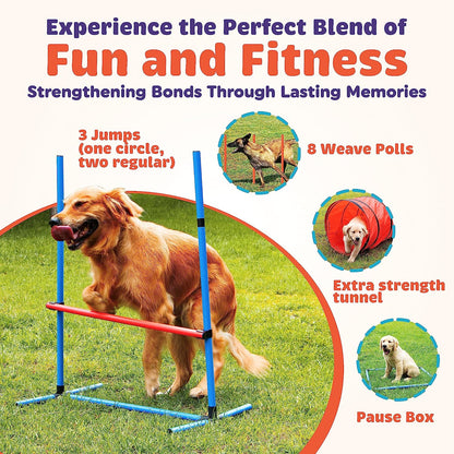15 Piece Dog Agility Course Backyard Set